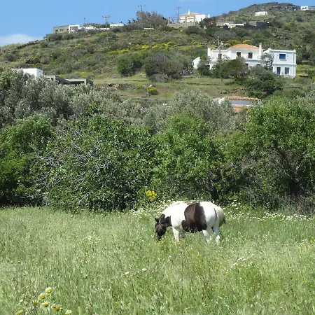Beach House Maria Ormos (Andros)